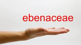 How to Pronounce ebenaceae  American English [upl. by Amri]