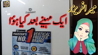 Aik Mah Pehle Dalwance ka Vertical Freezer Liya Tha Aaj Dekhen Review [upl. by Dusen262]