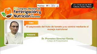 Capaciagro  El payaseado del fruto de tomate y su control mediante el manejo nutricional [upl. by Jodoin]