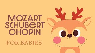 Baby Classical Music 🌞 Mozart Schubert amp Chopin 🌞 Piano Songs for Babies [upl. by Adal]