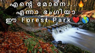 എന്റെ മോനെ 🔥എന്നാ ഭംഗിയാ ഈ Tollymore Forest Park 🌎 [upl. by Tigram]