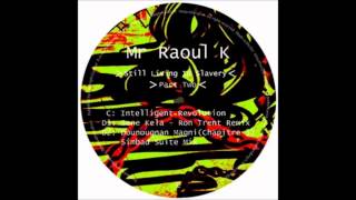 MR RAOUL K quotSene Kelaquot Ron Trent remix [upl. by Cattan376]