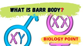 What is Barr Body [upl. by Gnoz]