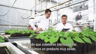 ¡Solución completa de cultivo para una cosecha sana y uniforme [upl. by Suivatram]