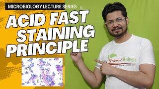 Acid fast staining  acid fast staining test principle and procedure [upl. by Naawaj]