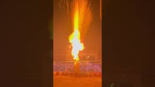 Happy Diwali To All 🔥 Best Skyshot 🔥 skycrackers diwali diwalicelebration Diwali special [upl. by Zebe]