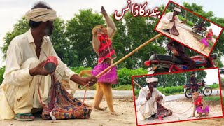 Haryanvi Bandar Bandariya Ka Khel  Comedy Video  Video Form My Phone  Funny Video Clip [upl. by Nylirak]