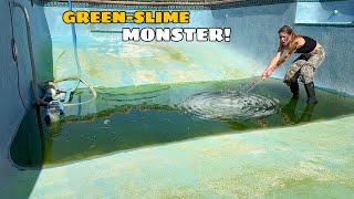 WE CAUGHT THE GREENSLIME POOL MONSTERS Part 2 [upl. by Intirb]