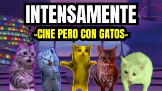 INTENSAMENTE  cine pero con gatos meme de gatos [upl. by Eyatnod]