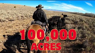 Trying to find out cows in a 100000 acre pasture on our horses [upl. by Enael543]