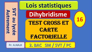 lois statistiques  Dihybridisme Test cross et carte factorielle [upl. by Horner]