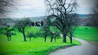 Drive from Ravensburg To Schalotten Germany 🇩🇪BadenWürttemberg18 November 2024 [upl. by Calhoun]