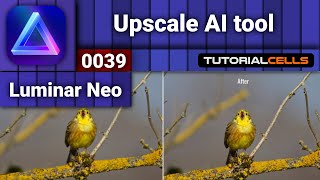 0039 Upscale AI tool in Luminar Neo [upl. by Willman526]