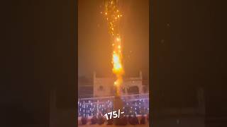 Don’t Buy This ❌ Lion King SkyShot From Gurusami 🔥 Sony Skyshot 🔥 Diwali 2024 fireworks [upl. by Beaudoin]