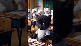 black catracismby white kittenbullymummy cat revenge [upl. by Saltsman]