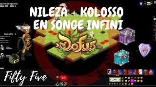 DOFUS NILEZA  KOLOSSO EN SONGE INFINI Team distance [upl. by Elak331]