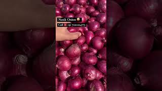 Nasik Onion Market ☎️7020114773 nashikonionrate nashikonion onionexport onionratetoday fruit [upl. by Stetson]