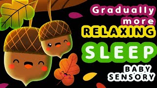 💤 Baby Sensory  Bedtime calming video  Infant visual Stimulation  Cute Autumn 🍁🌰🍂 [upl. by Akcimahs]