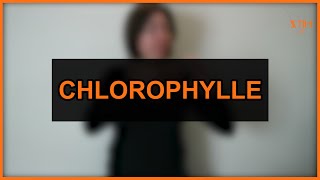 Chlorophylle Botanique  LSF [upl. by Sibyls]