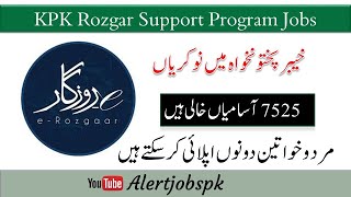 KPK Rozgar Support Program Jobs 2024  E Rozgar  jobs  pakistan government job  latest jobs 2024 [upl. by Lynnea]