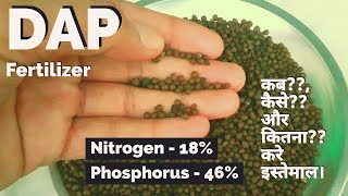 What is DAP Fertilizer and How to use DAP Fertilizer in Plants Hindi [upl. by Beckman562]