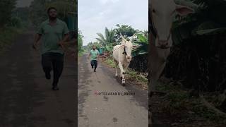 ಧಿರ್ಯಾ 💥🤩🏆 practice mood fyp viralsong shortsvideo [upl. by Retseh]