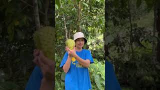 Probinsya Vlog Namitas ako ng SinturisDragonfruitGuyabano at Mabolo [upl. by Sergu373]