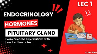 ENDOCRINOLOGY PITUITARY GLANDHORMONES EXAM ORIENTED EXPLANATIONS HAND WRITTEN NOTES [upl. by Hiram836]