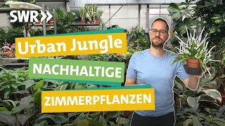 Zimmerpflanzen — so wird dein Urban Jungle wirklich grün I Ökochecker SWR [upl. by Kashden]