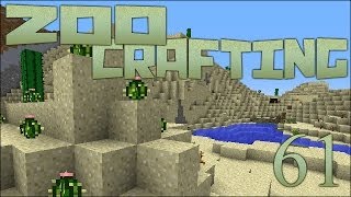 Hidden Desert Gems 🐘 Zoo Crafting Episode 61 [upl. by Eanerb]