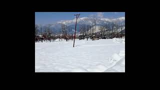 Warnow Lolab Kupwara Kashmir youtubeshorts [upl. by Zumstein726]