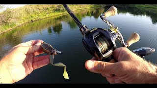 TopWater Frog Testing on the Water Live Target Ultimate Frog Fail BooYah Poppn Pad Crasher Z man [upl. by Adnam]