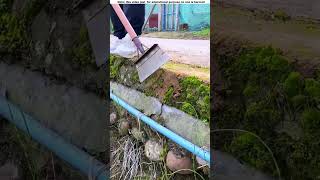 This boy earns many dollars a month by cleaning the streets 😱 amazing shortvideo [upl. by Ecyak514]