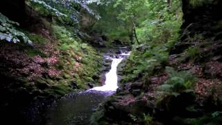 Ardennen  Ardennes Hockai Wandelen  Hiking  Fleet Foxes [upl. by Rimisac]