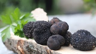 The secret of how to cook black truffles [upl. by Figge]