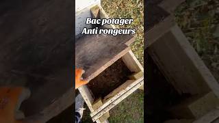 Bac potager anti rongeur jardin jardinage legumes permaculture potager rongeurs shortsvideo [upl. by Refinney191]