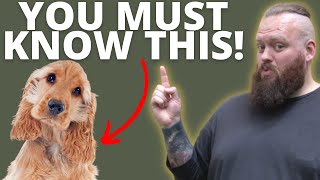 3 THINGS TO KNOW BEFORE GETTING A COCKER SPANIEL [upl. by Beauregard]