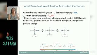 Zwitterion and acid base nature of amino acids [upl. by Alihet]