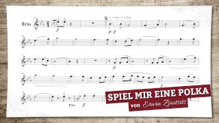 Spiel mir eine Polka von Erwin Zsaitsits [upl. by Ashlee]