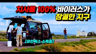 〃치사율 100 바이러스〃가 【창궐한 지구】에서 살아남기 위한 방법 [upl. by Ricca]