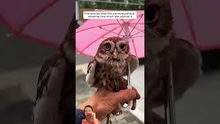 KindHearted Family Rescued A Baby Owl And Adopted It short animal loveanimalstl [upl. by Ingeborg499]