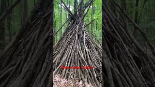 Large man made shelter in Codorus State Park dayhikingandherpingdudes [upl. by Anirbas655]