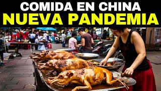 Los 20 Alimentos Más Extraños Que Se Comen En China [upl. by Monahan]