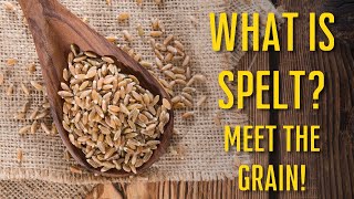 All About Spelt  What is Spelt  How to Use Spelt  How to Use Ancient Grains Meet the Grain [upl. by Eckblad]