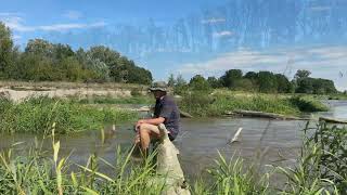 LIFE Network Danube Plus Hochwasser in der Fischwanderhilfe [upl. by Anala]