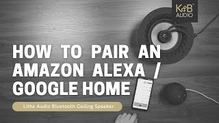 Lithe Audio Bluetooth  How to Pair an Amazon Alexa [upl. by Llennej742]