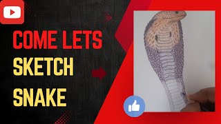 how to draw realistic snake with metallic colour pencils [upl. by Belford]