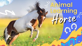 Best Learning Videos About Horses For Kids 🐴✨  Horse For Kids  All About Horses  Horses Fun Facts [upl. by Munniks]