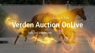 Verden Auction OnLive  Foals and Broodmares  August 5 2022 [upl. by Valentijn]