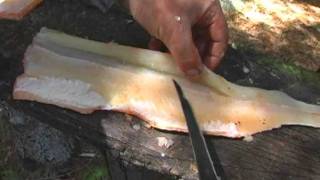 How to Fillet a Northern Pike [upl. by Annaynek]